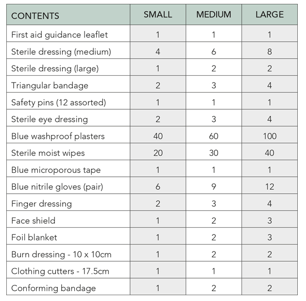 BSI Catering First Aid kit large