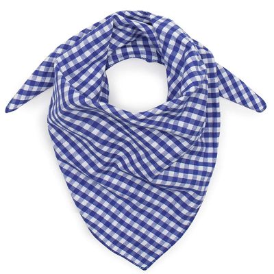 Chef Small Blue Check Neckerchief N006