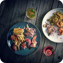 Rustic Blue Terra Coupe Plates